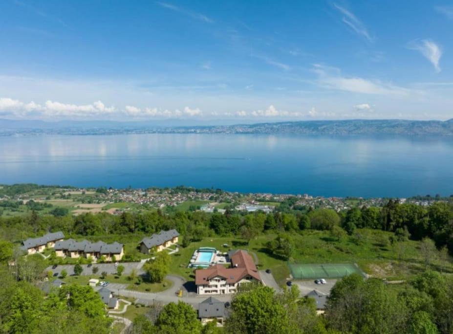 Le Garden - Ski - Vue Lac - Piscine - Parking - Evian - Thonon - 러그린 외부 사진